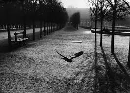 Image result for edouard boubat