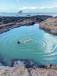 Image result for Cornwall Swim Club