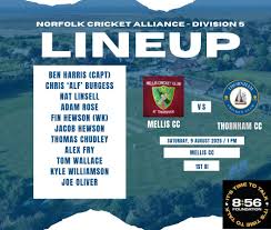 Image result for Mellis Cricket Club