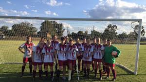 Image result for Warwick Wolves