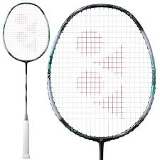 Image result for Beginners and Intermediate Badminton