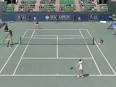 Download Dream Match Tennis Online