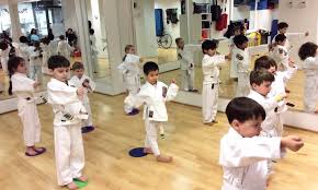 Image result for Martial Arts New Jersey