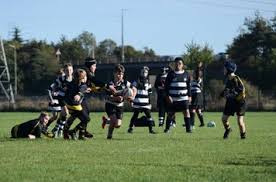 Image result for Braintree Rugby Union Football Club