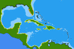 Image result for Eugerres plumieri