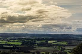 Image result for Taunton Deane