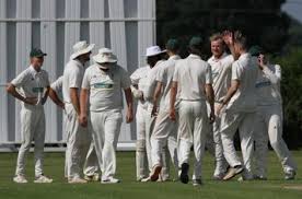 Image result for Elworth Cricket Club