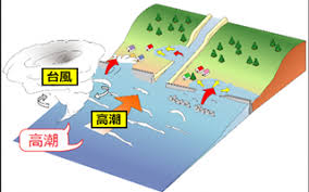 Image result for 高潮 津波 別物