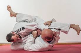Image result for Brazilian-martial arts