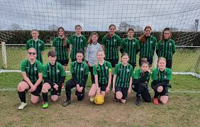 Image result for Hinckley United Junior Football Club