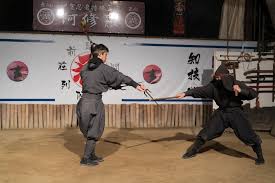 Image result for Hertfordshire Iga Ryu Ninjutsu