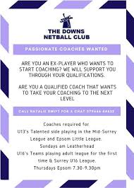 Image result for The Downs Netball Club