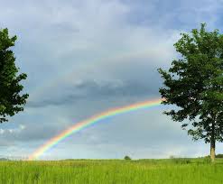 Image result for wetter