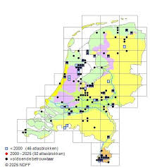 Attēlu rezultāti vaicājumam “Rhynchostegiella tenella”