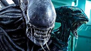 Image result for xenomorph