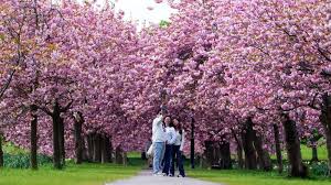 Image result for Harrogate