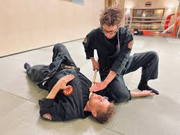 Image result for Inyo Karate Do Ninbukan