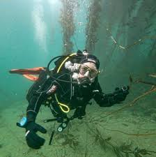 Image result for Seabug Divers
