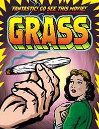 The History of Marijuana