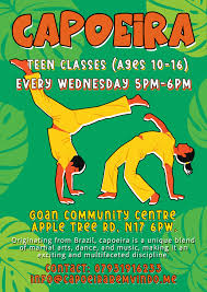 Image result for Capoeira Classes