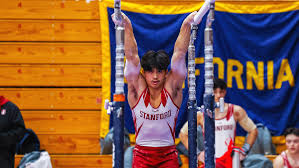 Image result for Arun Gymnastics Club