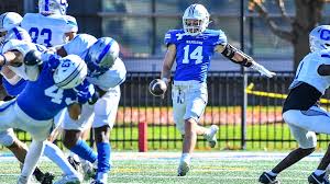 Image result for Hamilton Panthers Association Football Club