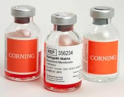 Képtalálat a következőre: „Codegen MX31-A2”