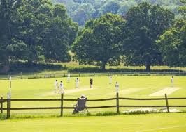 Image result for North Devon Cricket Club