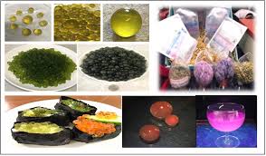 Attēlu rezultāti vaicājumam “Nostoc commune”