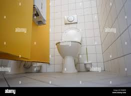 Image result for german toilet