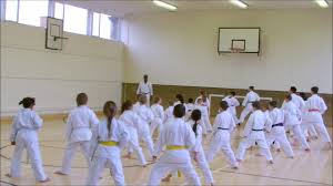 Image result for Harpenden JKA Karate Club