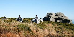 Image result for The Riding Centre