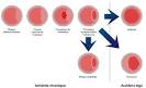 transluminale <b>coronaire</b> ne