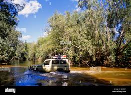 Billedresultat for kakadu n...