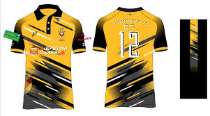 Image result for Newport (Salop) Cricket Club