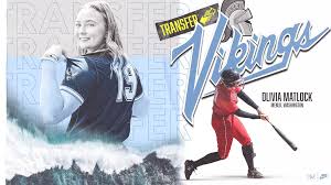 Image result for Matlock Athletic Club