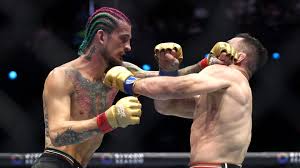 Image result for Allstars Kickboxing