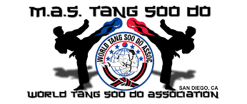 Image result for Alness Tang Soo Do