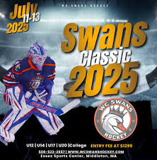 Image result for Swan`s Hockey Club