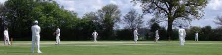 Image result for Nazeing Common Cricket Club