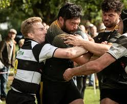 Image result for Haslemere Rugby Football Club