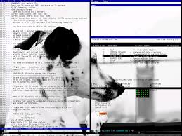 Image result for fbterm