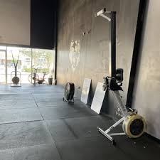 Image result for Revolution Dojo