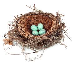 Attēlu rezultāti vaicājumam “nest”