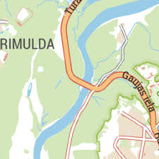 Attēlu rezultāti vaicājumam “Heterotrichia oerstedii (syn. Arcyria oerstedii) sessile”