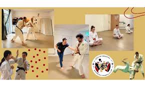 Image result for Bristol Karate Club
