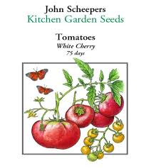 Afbeeldingsresultaat voor hawaiian white cherry tomato