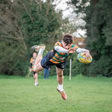 Image result for Alresford Rugby Club