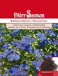 Image result for Männertreu