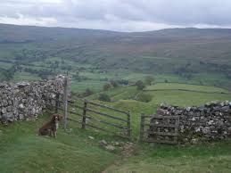 Image result for Swaledale Outdoor Club